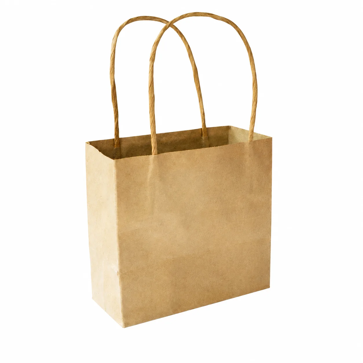 Shopping paper bag
